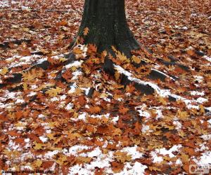 Puzzle Φύλλα και χιόνι